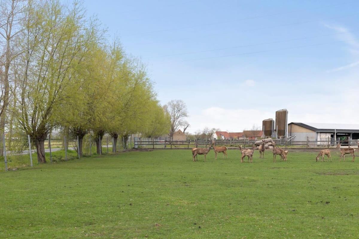 Huswell - Family House With A Beautiful View In Damme Villa Brugge Bagian luar foto